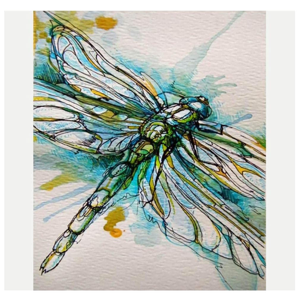 Dragonfly Lotus Scenery Paint by Numbers Kit for Adults & Kids - DIY Acrylic Painting Set with Brushes & Canvas - Perfect for Home Decor, Gift, and Relaxation
