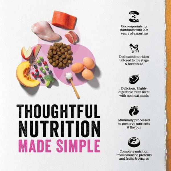 Premium Now Fresh Turkey, Salmon & Duck Recipe Adult Dry Cat Food - Grain-Free Protein Rich Kibble for Indoor & Outdoor Cats - Supports Healthy Digestion & Shiny Coat