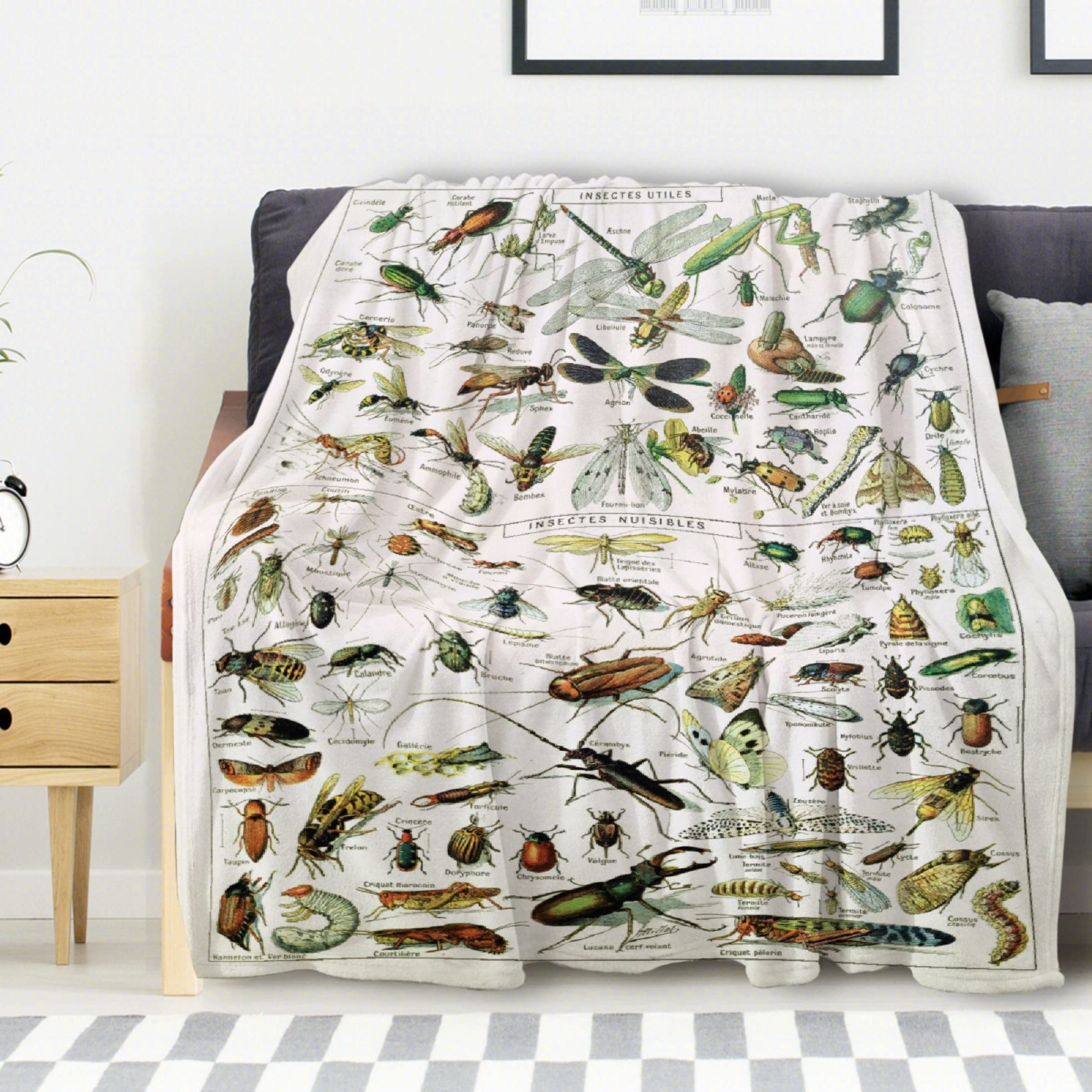 Avalokitesvara Art Insect Identification Reference Flannel Blanket - Super Soft & Warm 80x60 Inch Blanket for Bed, Couch & Sofa - Perfect for Adults, Home Decor, and Cozy Winter Nights