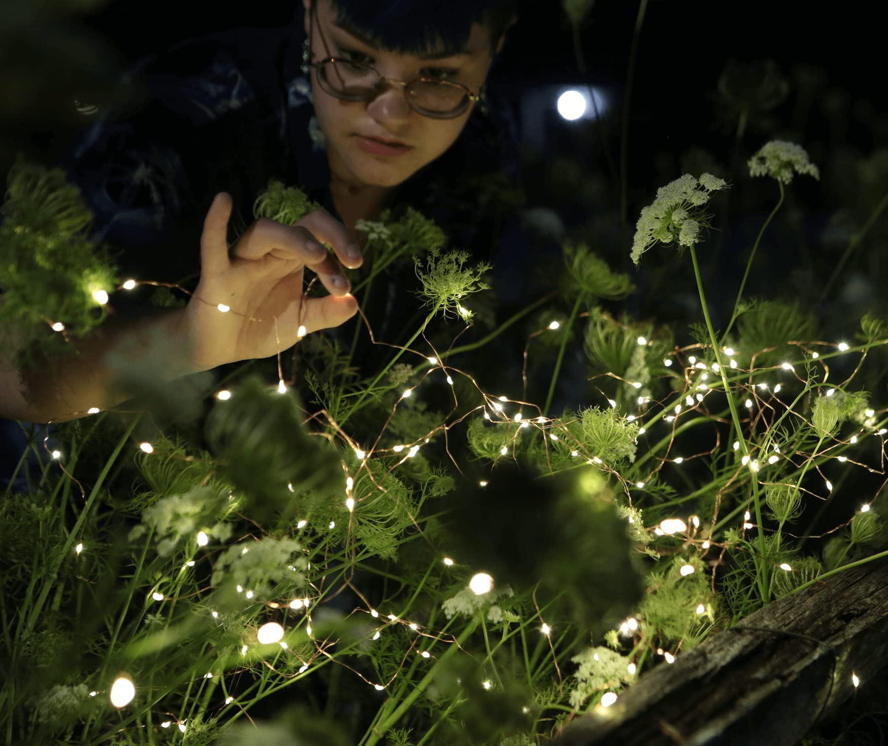 Solar Fairy Lights 15ft 50 LED Waterproof - Outdoor Garden Decor
