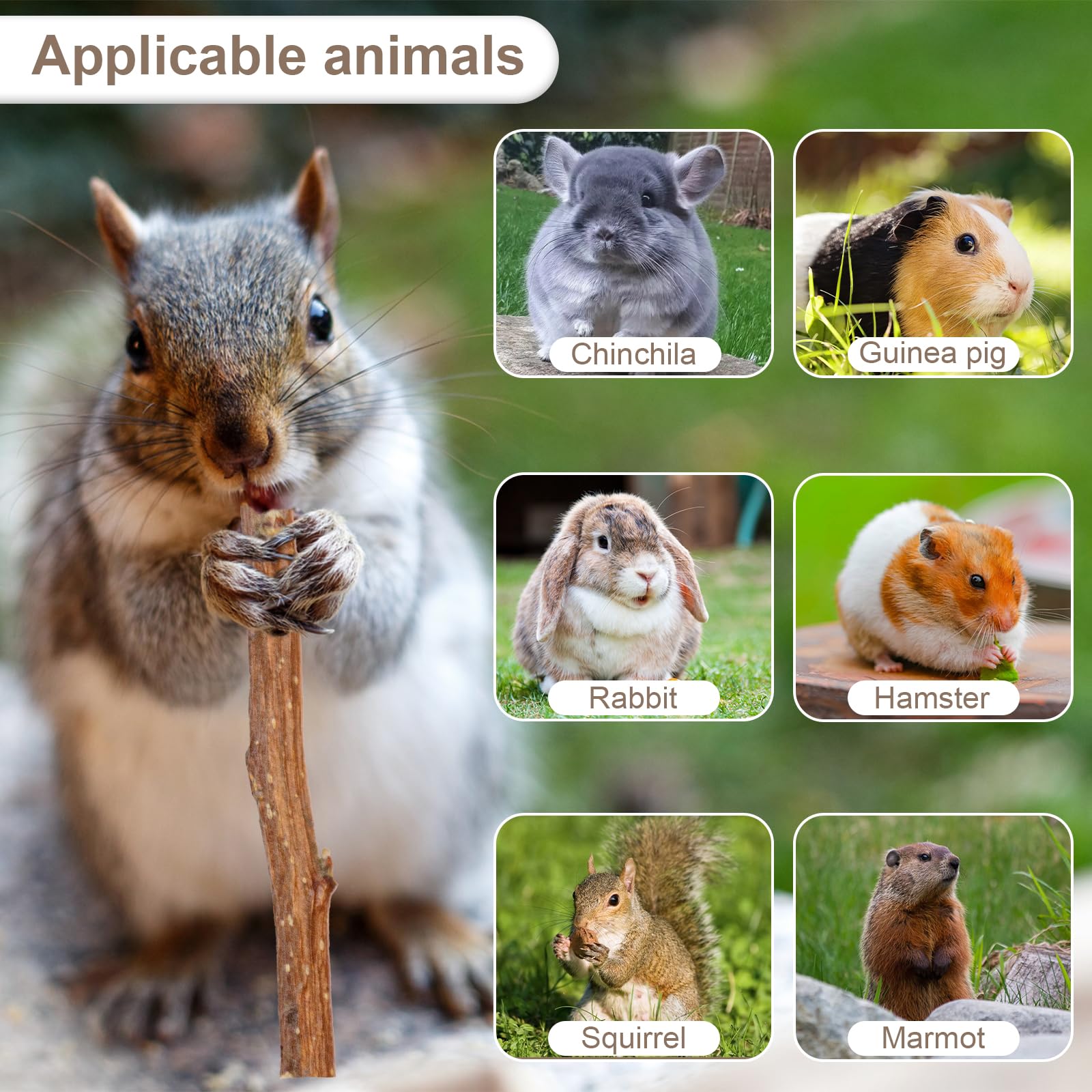 Natural Apple Wood Sticks - 500g Pet Chew Toys for Small Animals like Guinea Pigs, Rabbits & Hamsters - Dental Care & Play