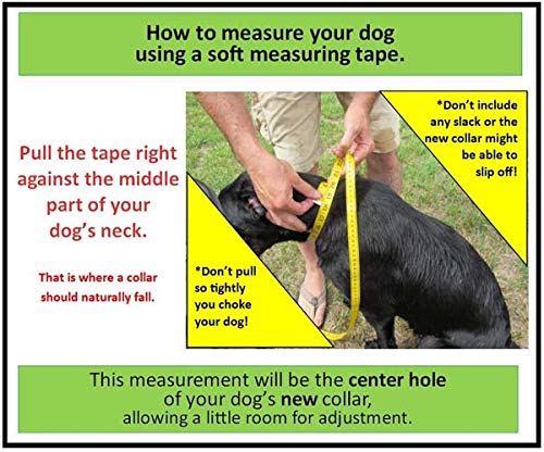 Pink Chevron Dog Collar for Small Dogs - Adjustable Pet Collar with Durable Nylon, Perfect for Daily Walks & Training Sessions