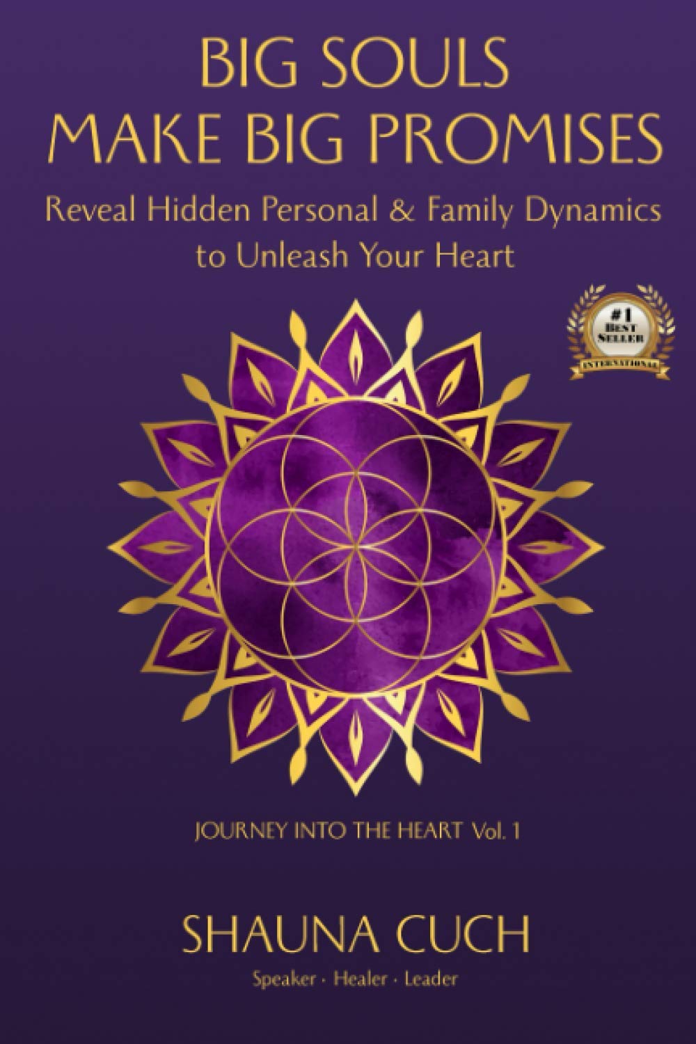 Big Souls Make Big Promises: Discover Hidden Personal & Family Dynamics to Find Your Life Purpose | Self-Discovery & Relationship Growth Guide for Personal Development