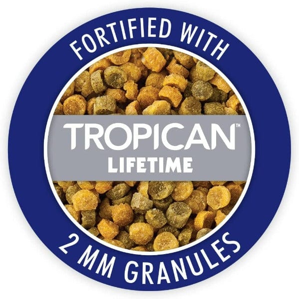 Premium Finch Seed Mix - Nutrient-Rich Gourmet Bird Food for Finches & Small Birds | Perfect for Daily Feeding & Aviary Enrichment