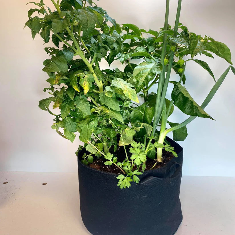 Growbag Lab - Premium Plant Grow Bags for Gardening, Hydroponics & Indoor Planting - Durable Fabric Pots for Vegetables, Herbs & Flowers - Ideal for Home Garden, Balcony & Urban Farming
