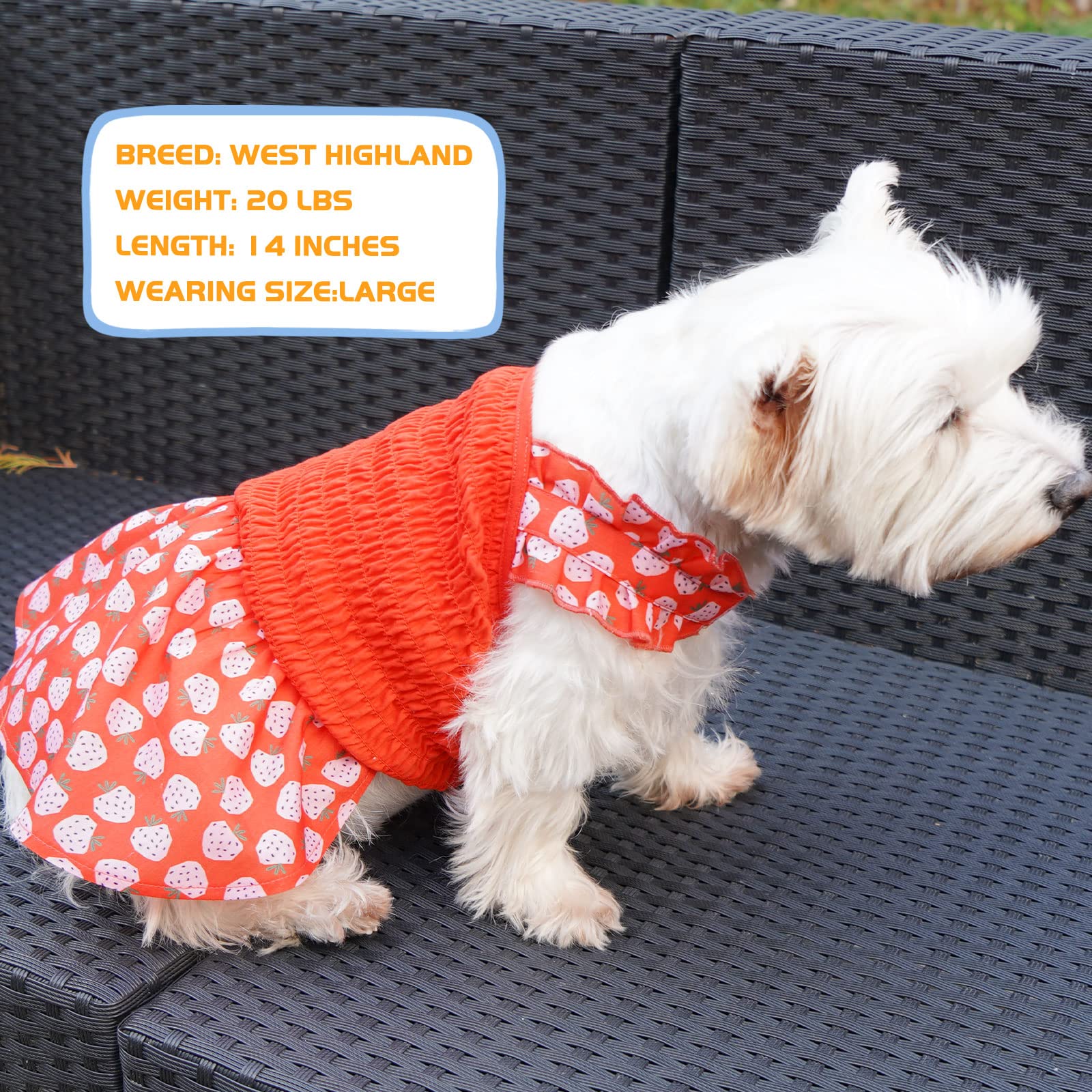 KYEESE Red Strawberry Pattern Dog Dress - Adjustable Halter Skirt Sundress for Small Dogs | Perfect for Summer Outings, Pet Parties & Photo Shoots