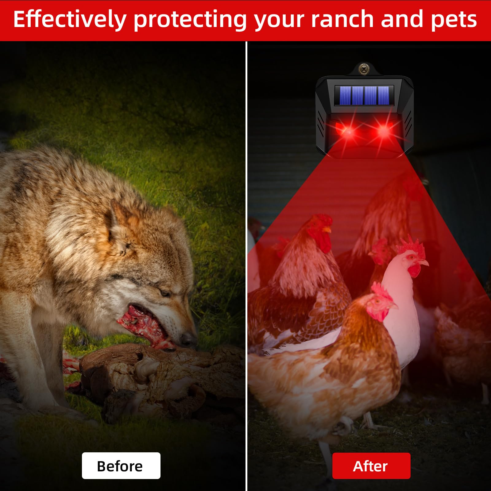 8 Pack Solar Powered Animal Repellent Lights - Outdoor Coyote Deterrent for Yard & Garden Protection | Effective Nocturnal Pest Control for Deer, Fox, Raccoon, Skunk | Predator Lights for Chicken Coop, Farm, Backyard & Outdoor Spaces | Weatherproof & Eco-Friendly Solar Solution