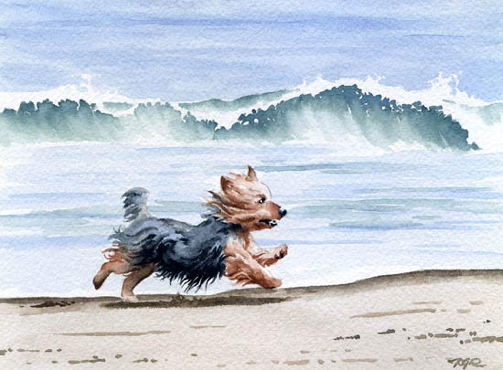 Yorkshire Terrier Beach Watercolor Art Print - Oversized Dog Painting by DJ Rogers - Perfect for Living Room, Bedroom & Office Wall Decor