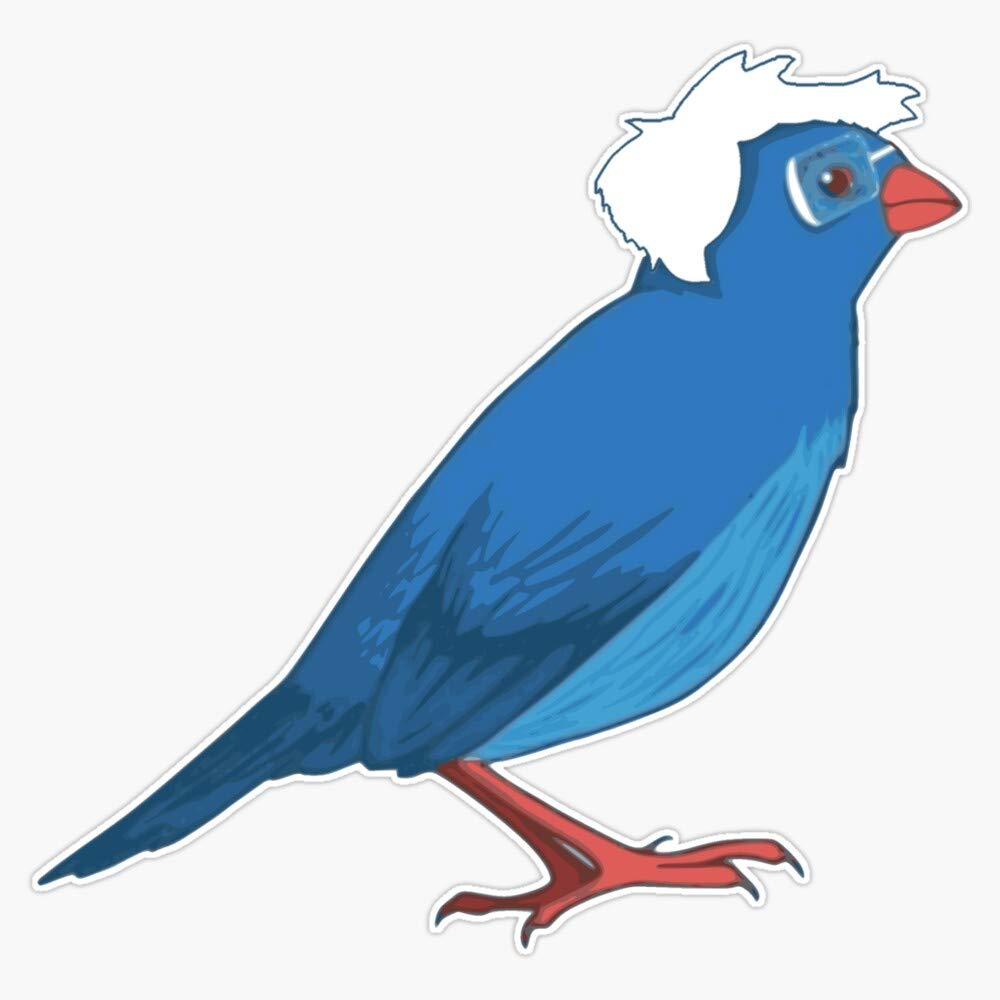 Bernie Sanders Bird Vinyl Stickers - Waterproof Political Decals for Car, Laptop & Bumper (5 Inch) - Bernie for President Campaign Accessories & Birdie 2020 Election Memorabilia - Perfect for Political Enthusiasts, Car Decoration & Laptop Personalization