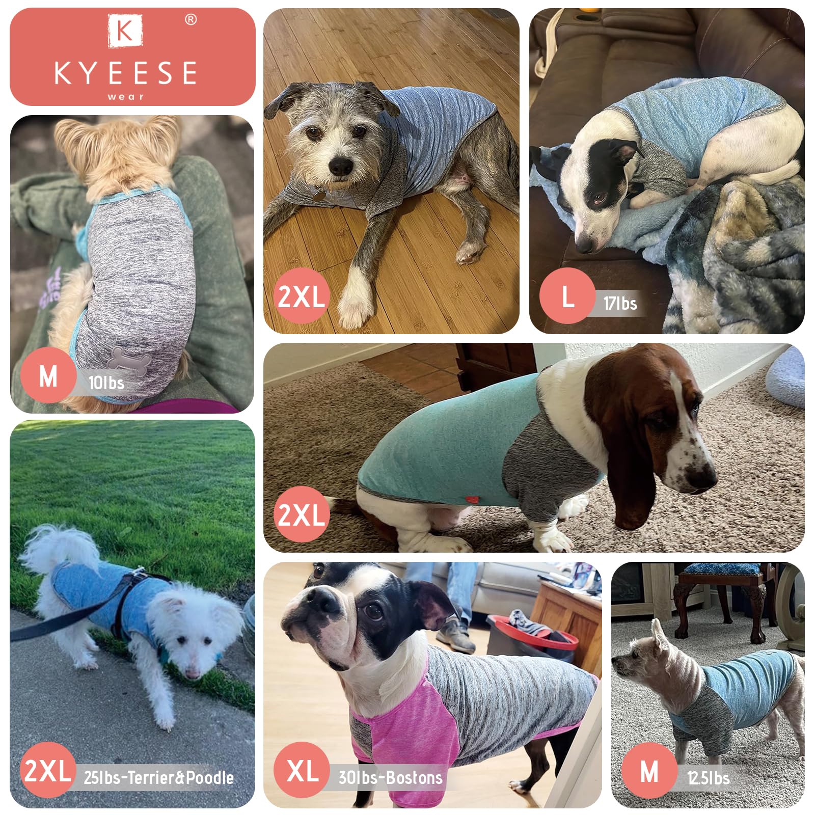 KYEESE 2 Pack Quick Dry Breathable Stretchy Dog T-Shirts with Reflective Label & Raglan Sleeves - Large Dog Clothes for Walking, Running & Outdoor Activities (Blue+Grey, 3XL)