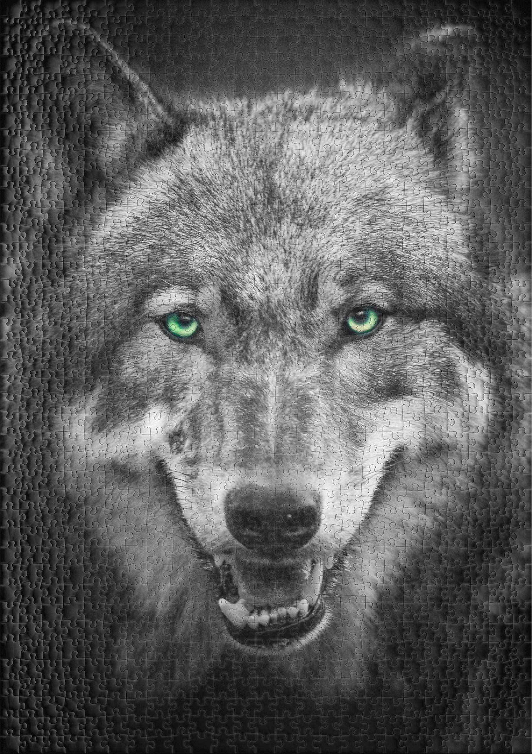 1000 Piece Wolf Puzzle - Grey Wolf Animal Portrait Jigsaw Puzzle for Adults & Teens - Perfect for Relaxation, Family Bonding & Home Decor