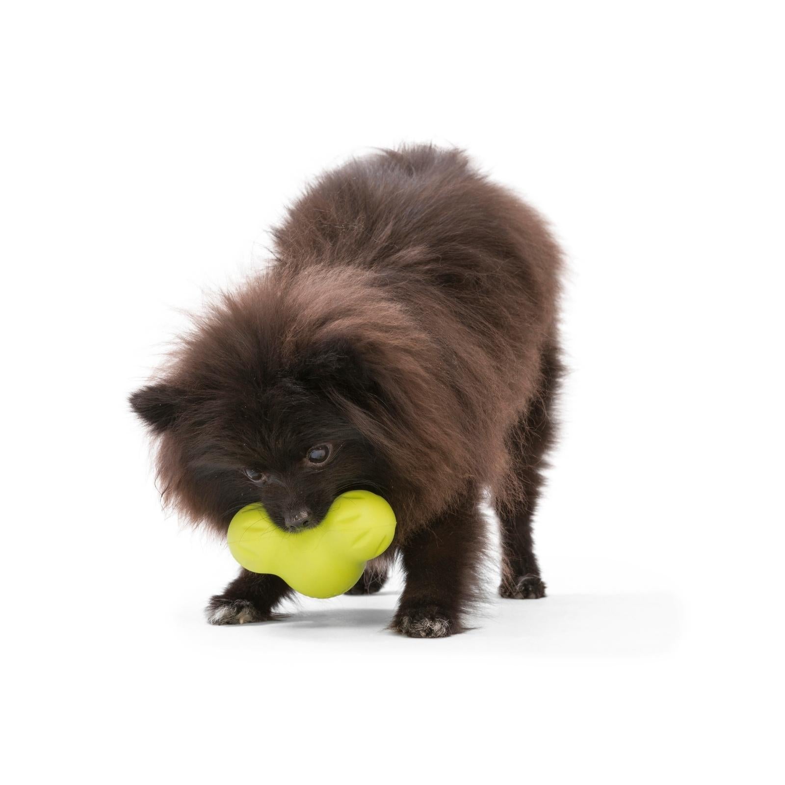West Paw® Green TUX Dog Toy - Treat Dispenser for Small & Large Dogs - Interactive Chew Toy for Indoor & Outdoor Play