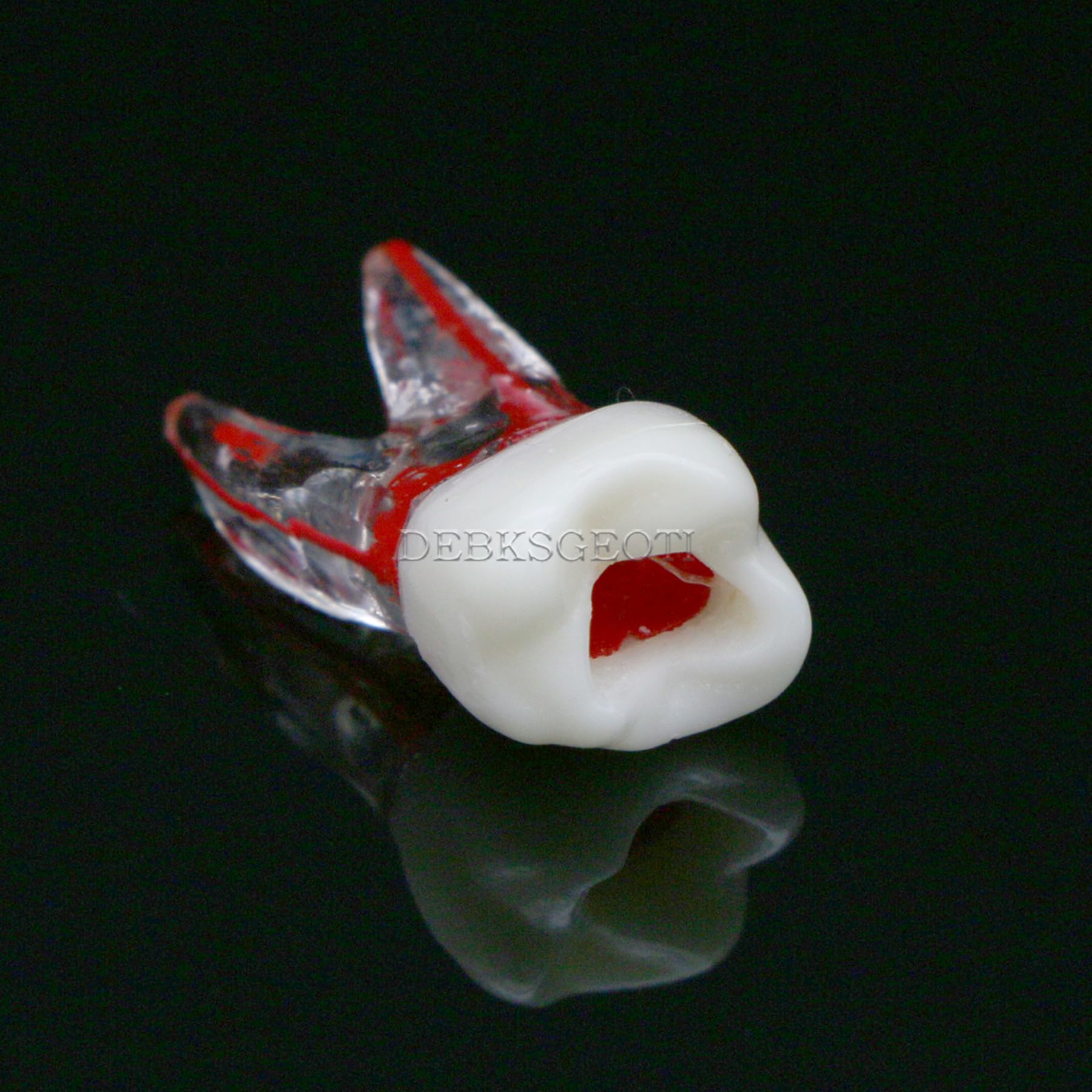 10Pcs Dental Root Canal Practice Teeth Model - 1:1 Typodont Standard M8008 for Endodontic Training, Study & Teaching | Perfect for Dental Students, Professionals & Classroom Demonstrations