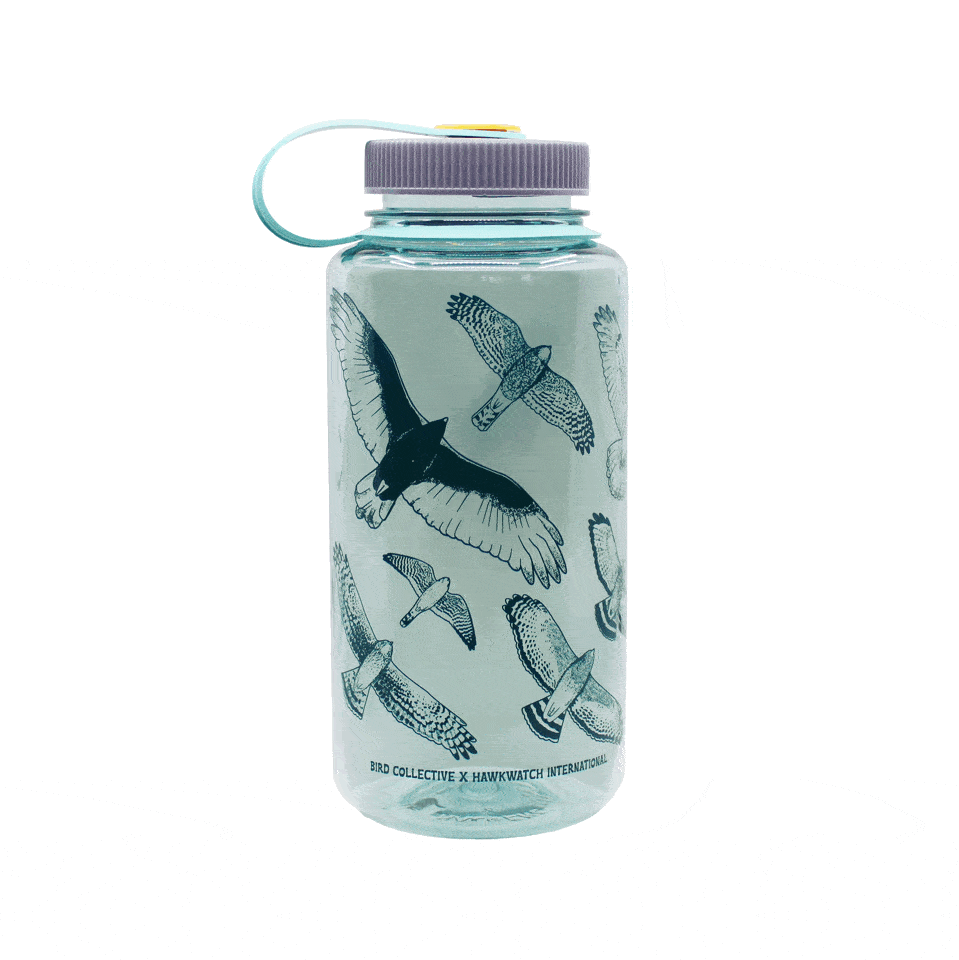 Hawks in Flight Nalgene Water Bottle 32oz - BPA-Free Leakproof Wide Mouth Water Bottle for Hiking, Camping & Outdoor Activities - Seafoam Green