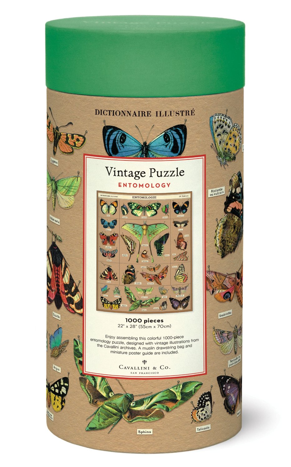 1,000 Piece Entomology Puzzle - Insect & Bug Theme Jigsaw for Adults & Kids - Perfect for Family Game Nights & Educational Fun