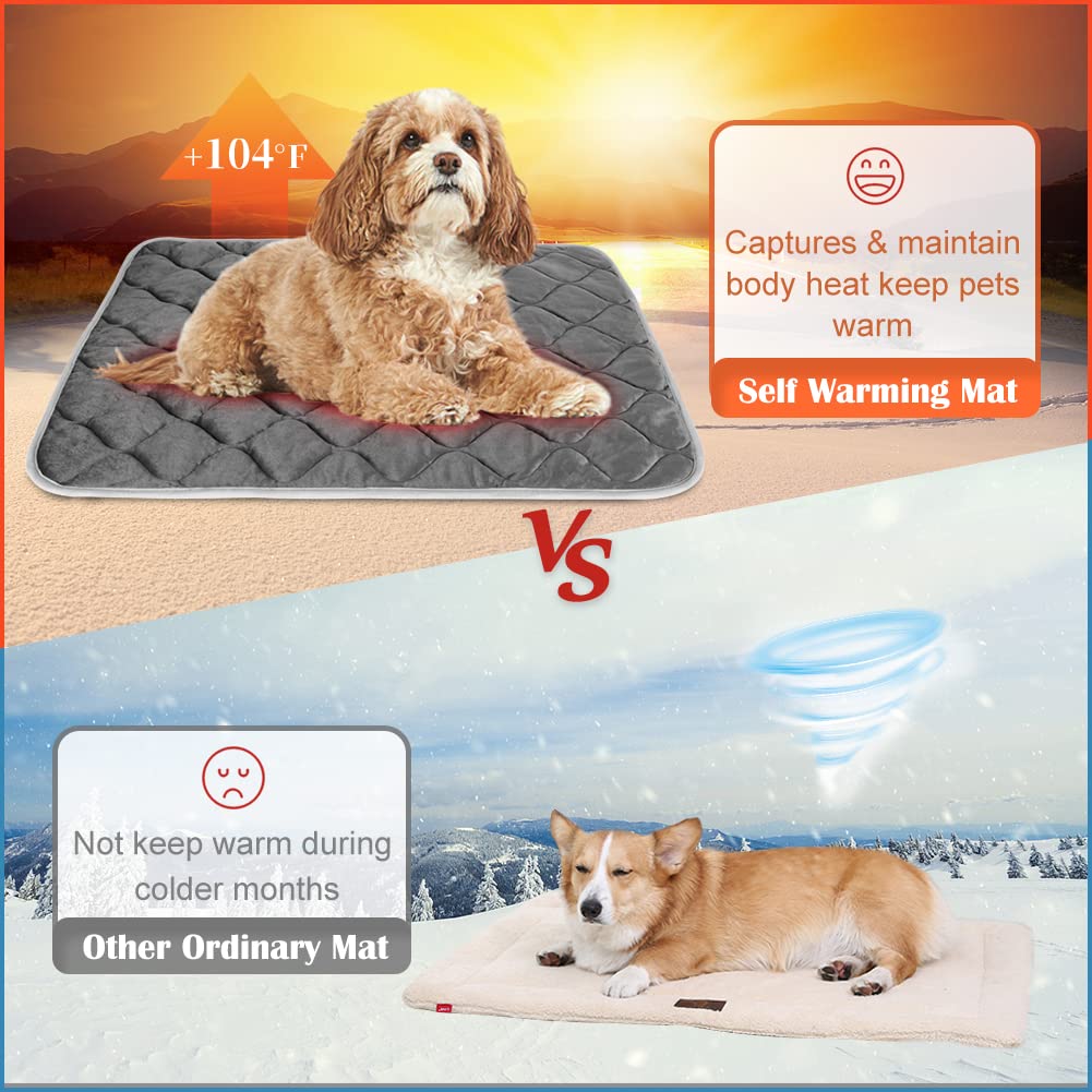ULIGOTA Self-Warming Cat Bed & Heating Mat for Dogs - Thermal Pet Bed with Soft Crate Pad - Perfect for Winter Warmth & Cozy Pet Napping