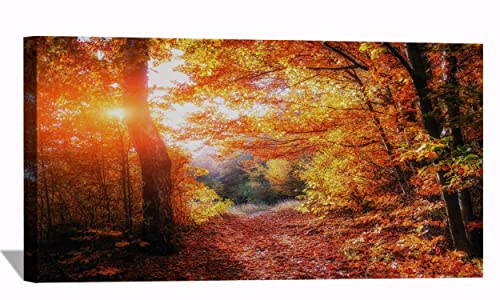 Autumn Forests Leaves Fall