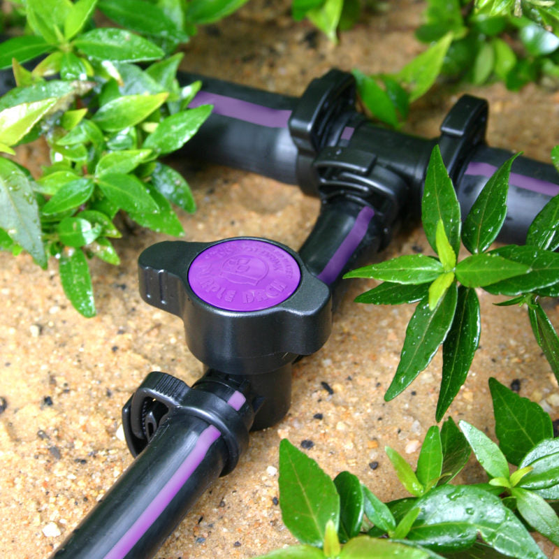 Antelco Purple Backflow Prevention Valve for 13-25mm Poly Pipe - Barbed Fitting - Ideal for Drip Irrigation & Water Control Systems
