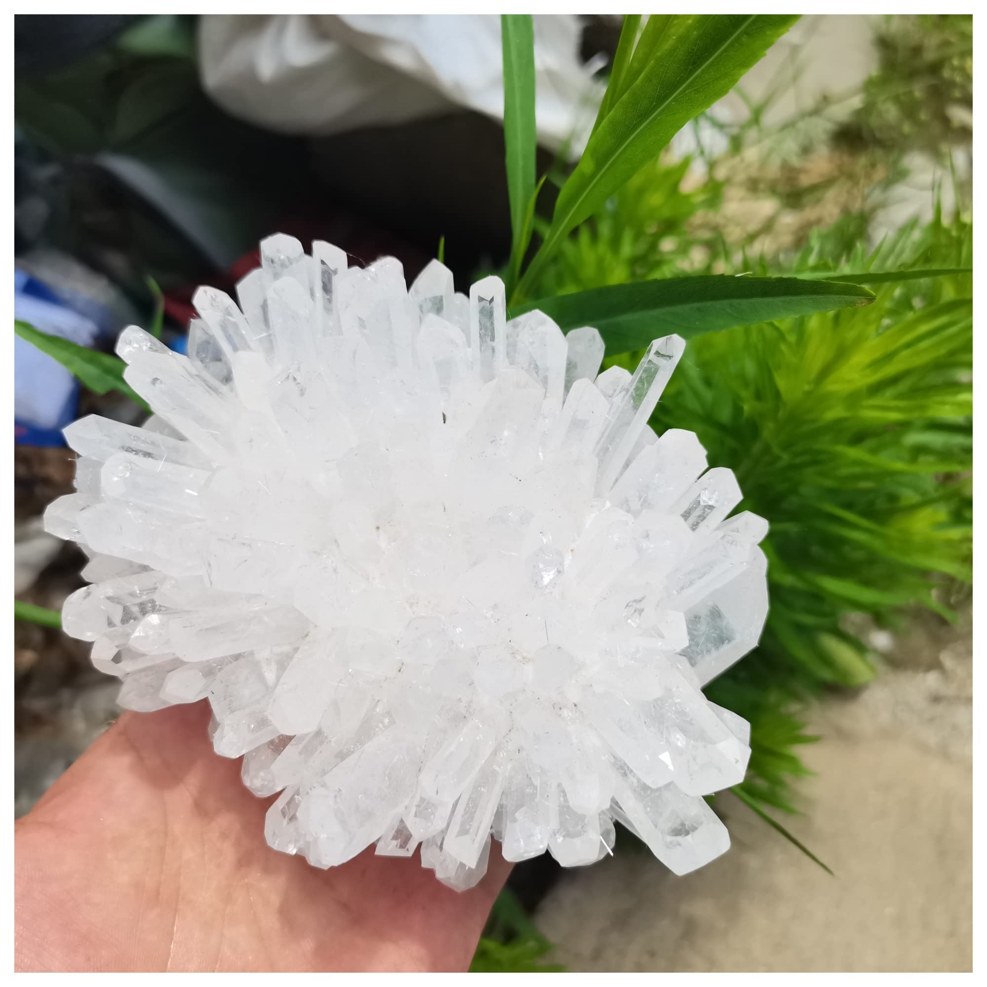 Natural Clear Quartz Cluster Freeform Reiki Stones - 600-700g Home & Office Decor, Aquarium Decoration, Healing Crystal for Meditation, Feng Shui, Yoga & Spiritual Gifts