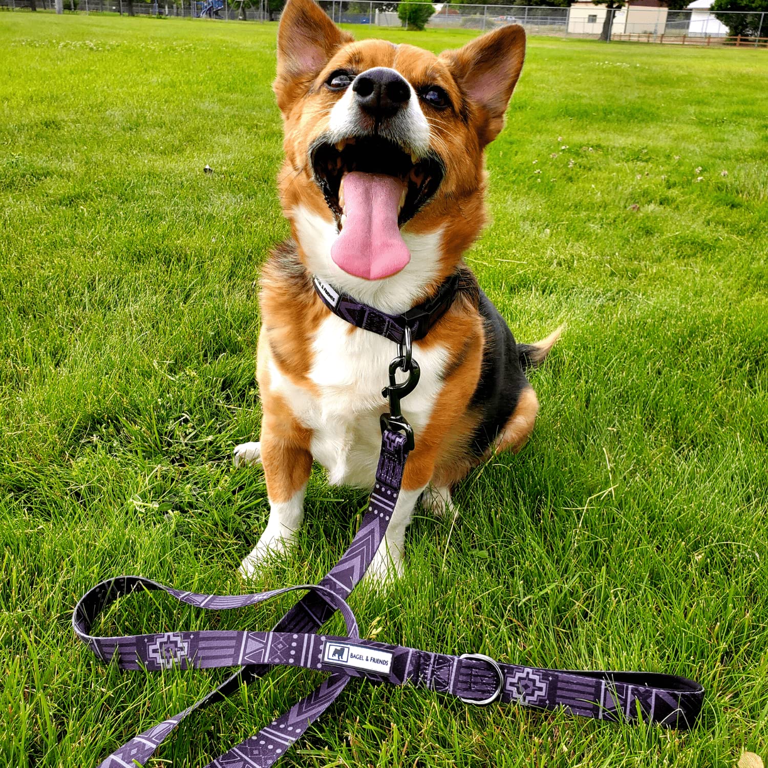 Premium Matching Dog Collar & Leash Set - Adjustable XS/S/M/L Sizes for Male & Female Dogs - Durable Black Tribal Pattern - Perfect for Training, Walks & Outdoor Adventures