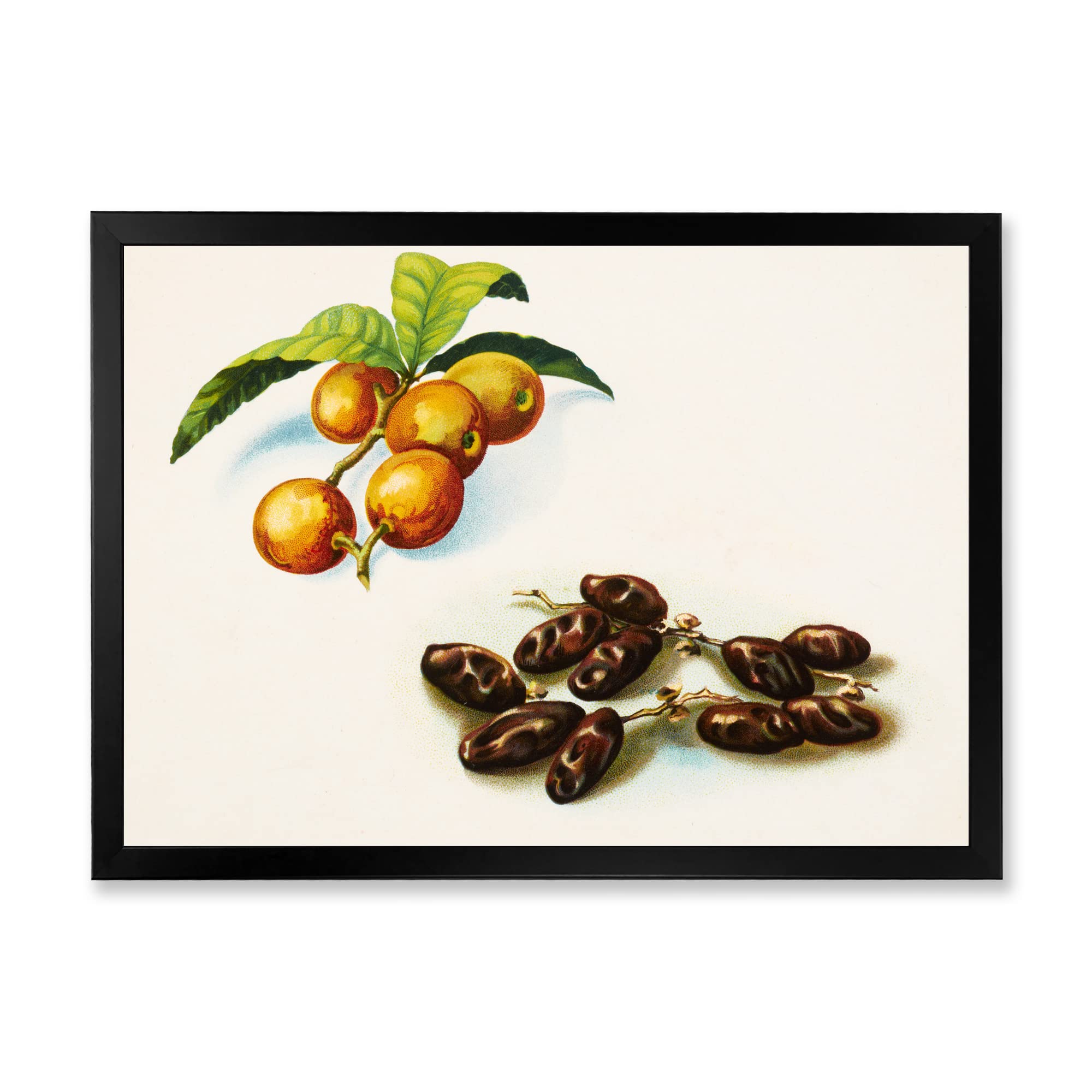 Vintage Fruits IV Farmhouse Framed Wall Art - Rustic Kitchen Decor for Dining Room, Living Room & Bedroom - Perfect for Farmhouse, Cottage & Country Style Homes