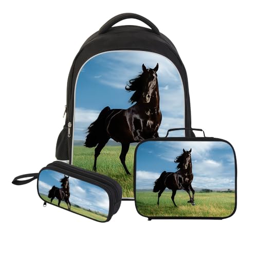 Horse17