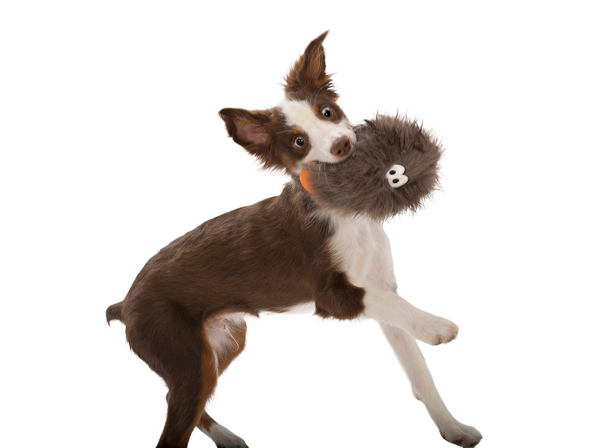 West Paw Design Rosebud Dog Toy - Durable Chew Toy for Small & Medium Dogs, Non-Toxic & Eco-Friendly - Perfect for Indoor Play, Fetch, and Training Sessions