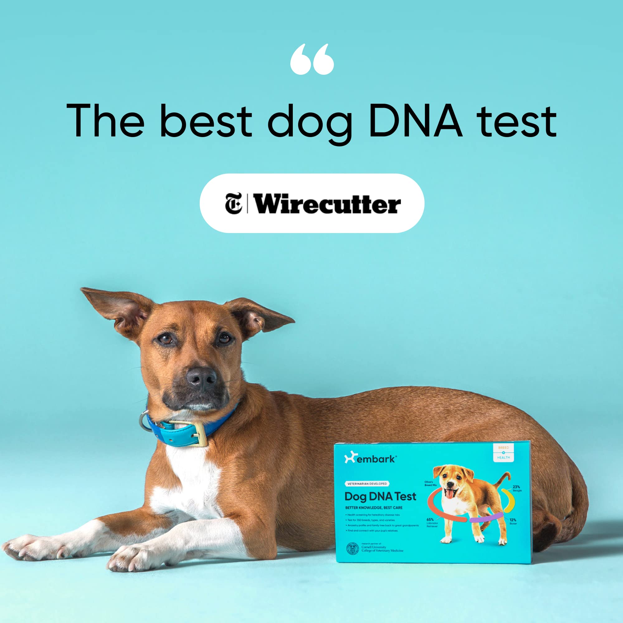 Embark Breed & Health Kit - Dog DNA Test for Breed, Ancestry, Genetic Health & Traits | Find Relatives & COI | Perfect for Pet Owners & Breeders