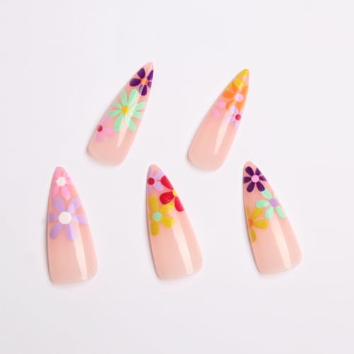 15.Colorful Daisy