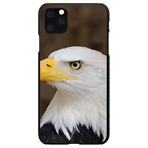 American Bald Eagle On Black Case