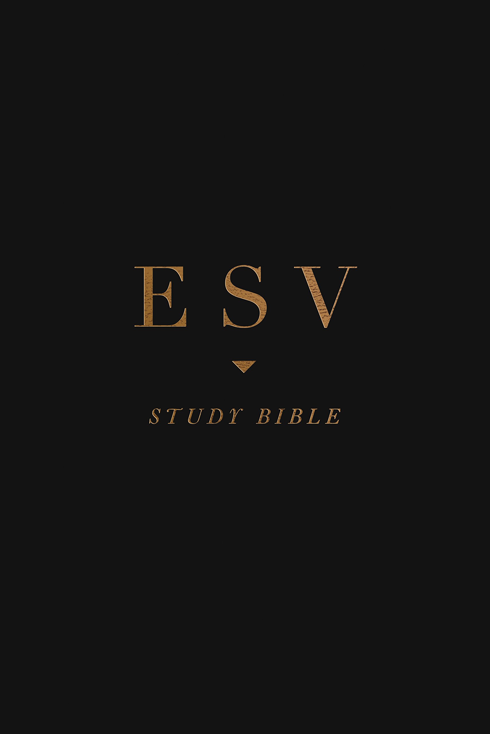 ESV Study Bible - English Standard Version, Black Leather, Personal Size for Daily Devotion, Bible Study & Church Use