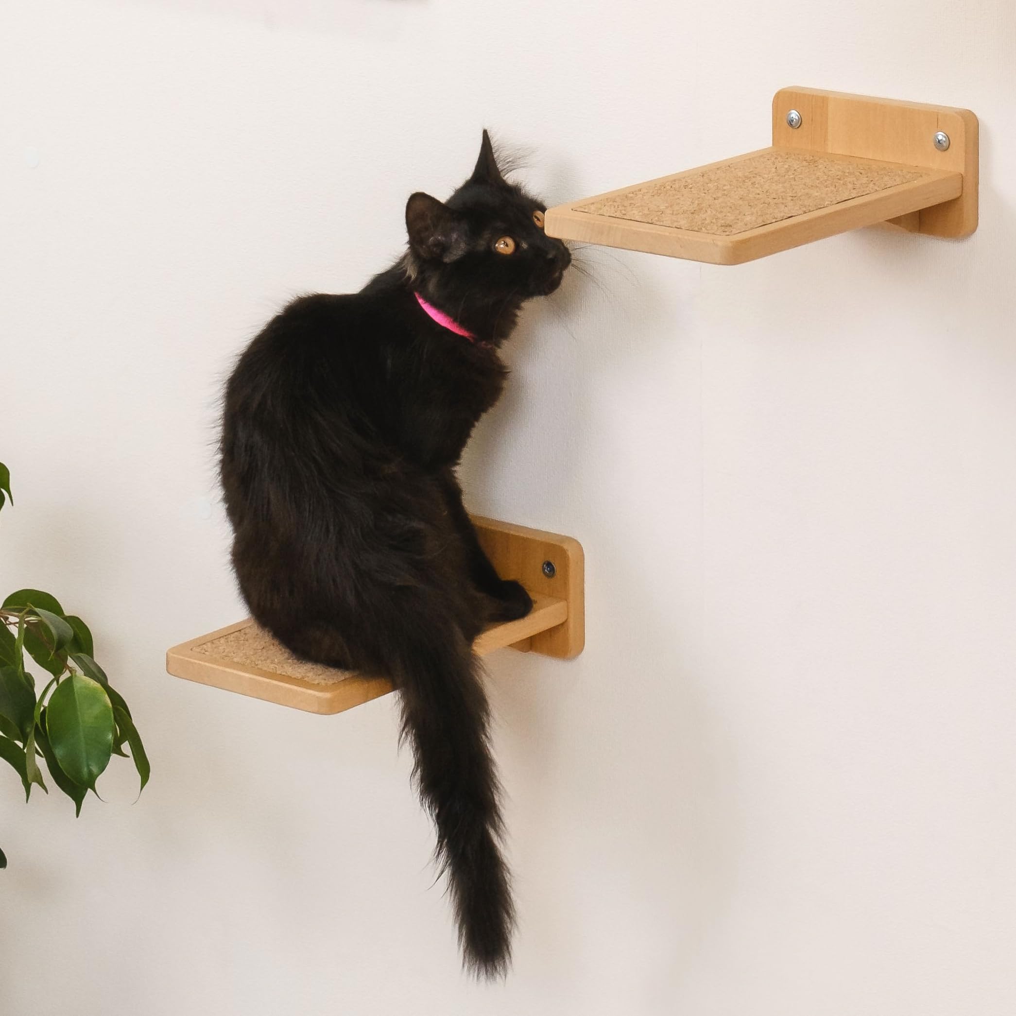 Cat Wall Bed with Steps - Multi-Level Cat Shelf & Climbing Platform - Space-Saving Wall Furniture for Cats - Perfect for Small Apartments & Cat Play Areas