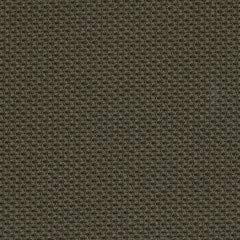 Root Beer Fabric