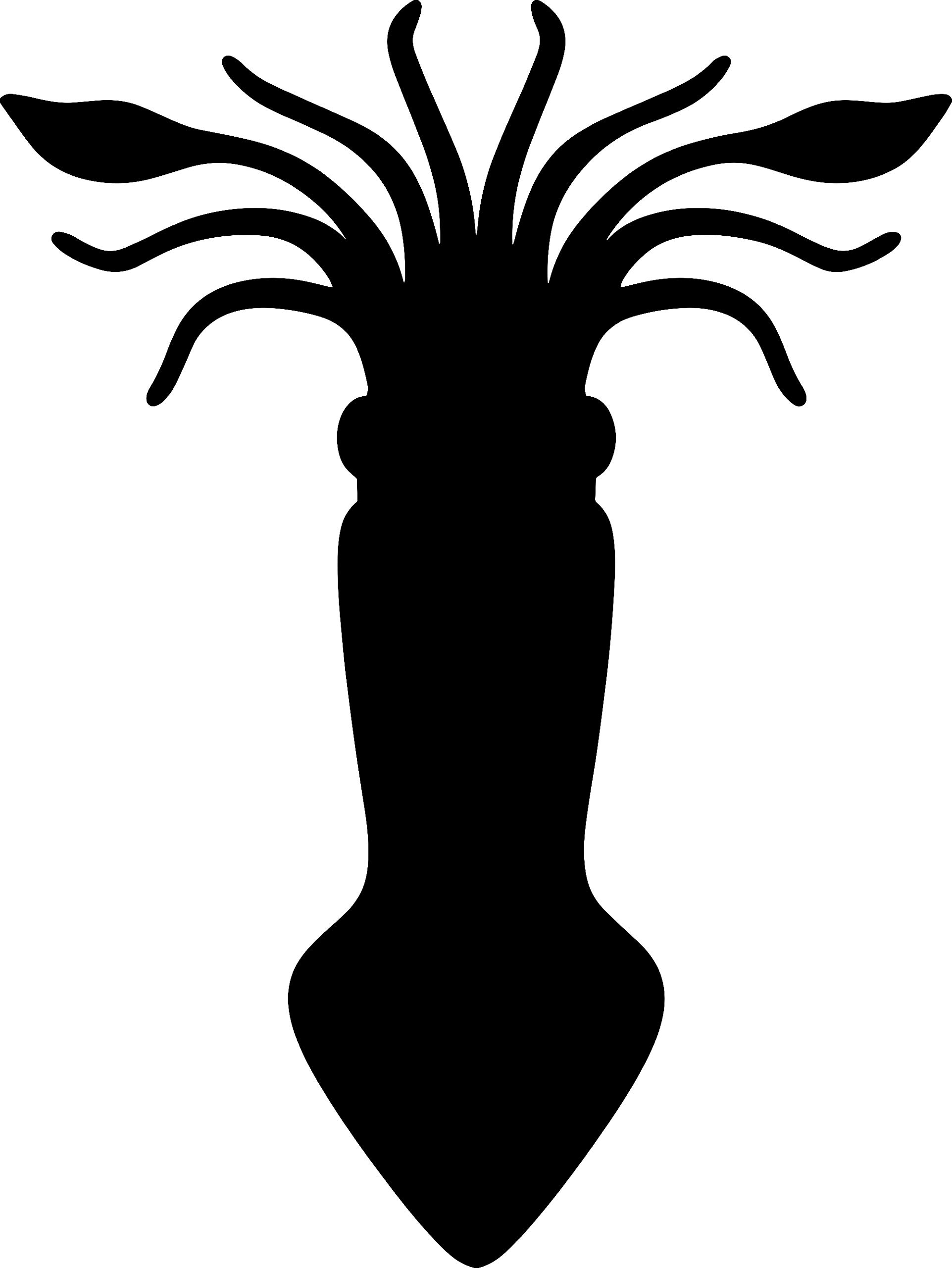 ANGOEST Squid Silhouette Vinyl Decal Stickers (Black, Set of 2) - Waterproof Laptop, Phone, Helmet, Car Window, Bumper, Mug, Cup, Wall Decor - Perfect for Home, Office, School & Gifts
