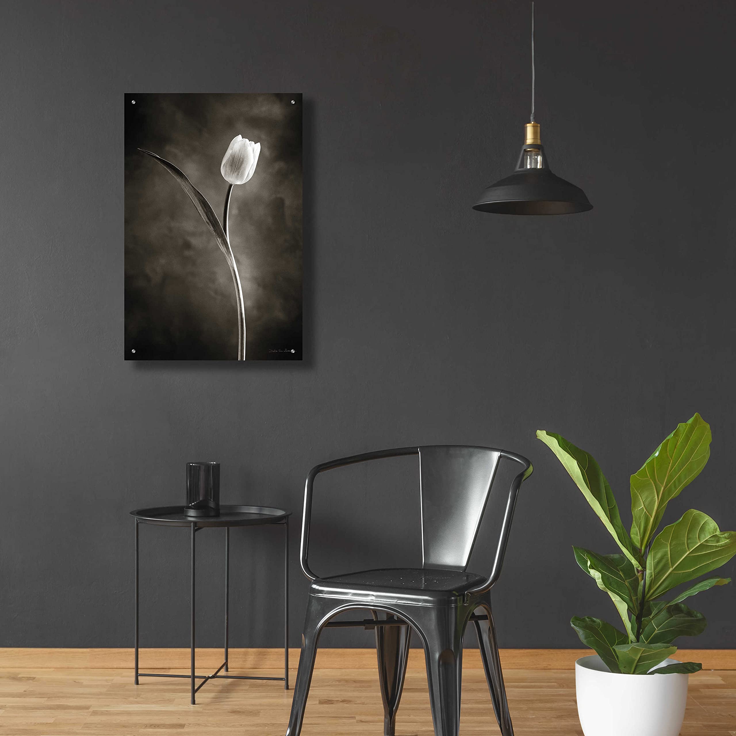 Two Tone Tulips II Acrylic Glass Wall Art by Debra Van Swearingen - 24x36 Inch Modern Floral Painting for Living Room, Bedroom & Office Decor