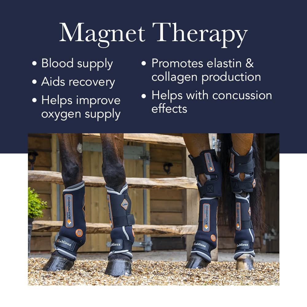 LeMieux Magno Magnetic Therapy Horse Boots - Conductive Equine Boots for Protection & Training - Horse Wraps & Accessories for Joint Support & Recovery - Ideal for Dressage, Jumping & Stable Use