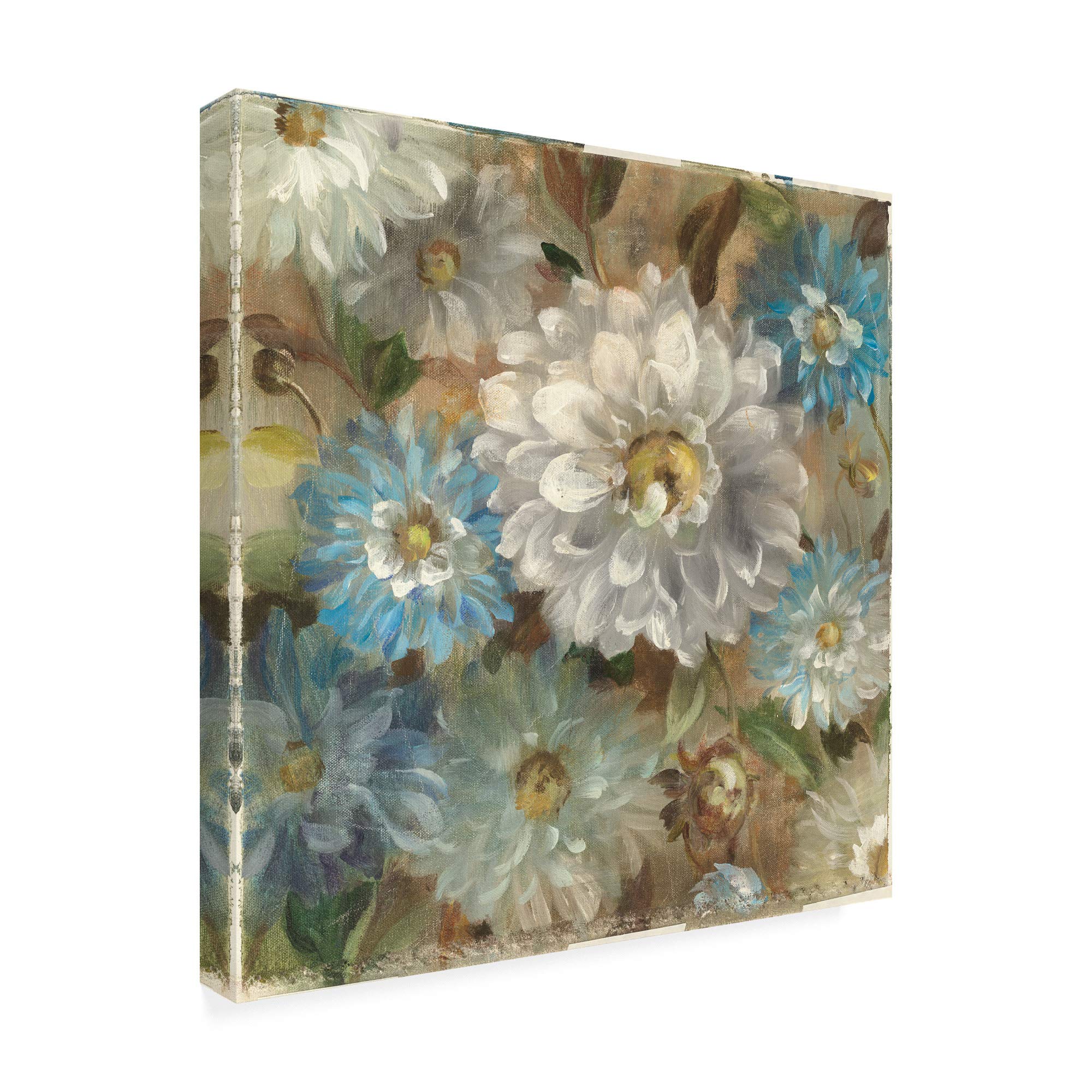 Danhui Nai Secret Garden I Fine Art Print - 35x35 Inch Floral Wall Decor for Living Room, Bedroom & Office | Trademark Fine Art Collection