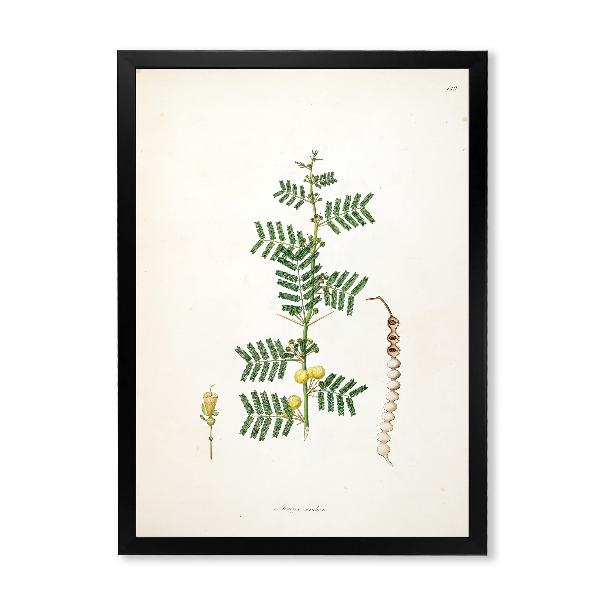 DesignQ Vintage Blossoming Flower III Farmhouse Framed Wall Art - Floral Canvas Painting for Living Room, Bedroom & Office Decor - Perfect Rustic Home Wall Decor for Housewarming Gifts