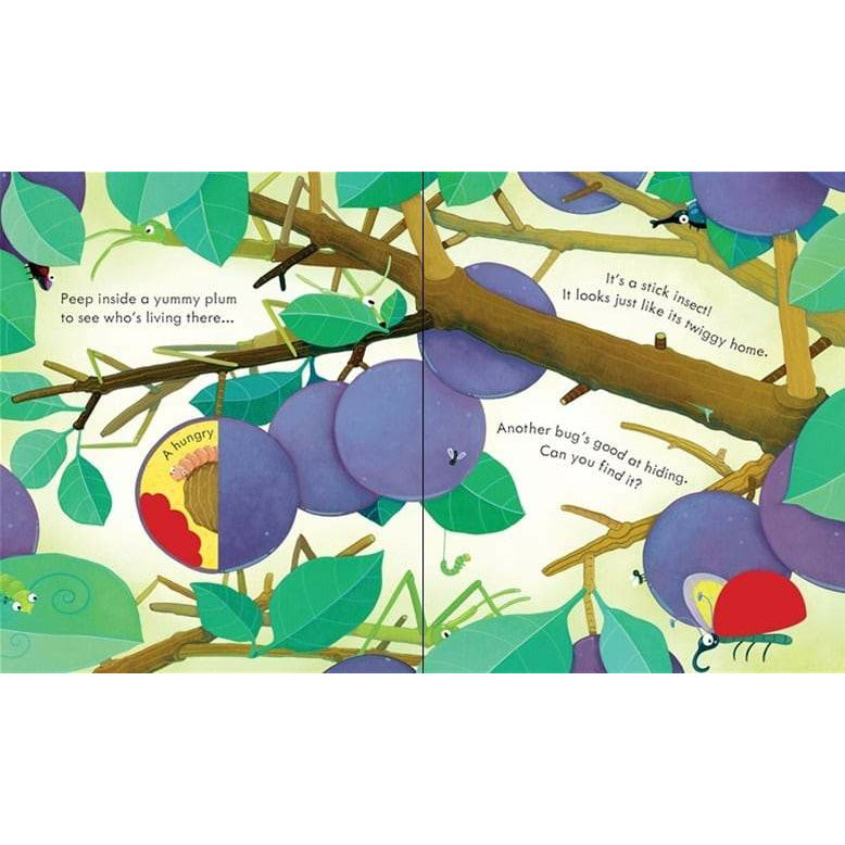 Peep Inside Bug Homes - Explore Insect Habitats & Nature Discovery for Kids - Perfect for Outdoor Learning & Science Exploration