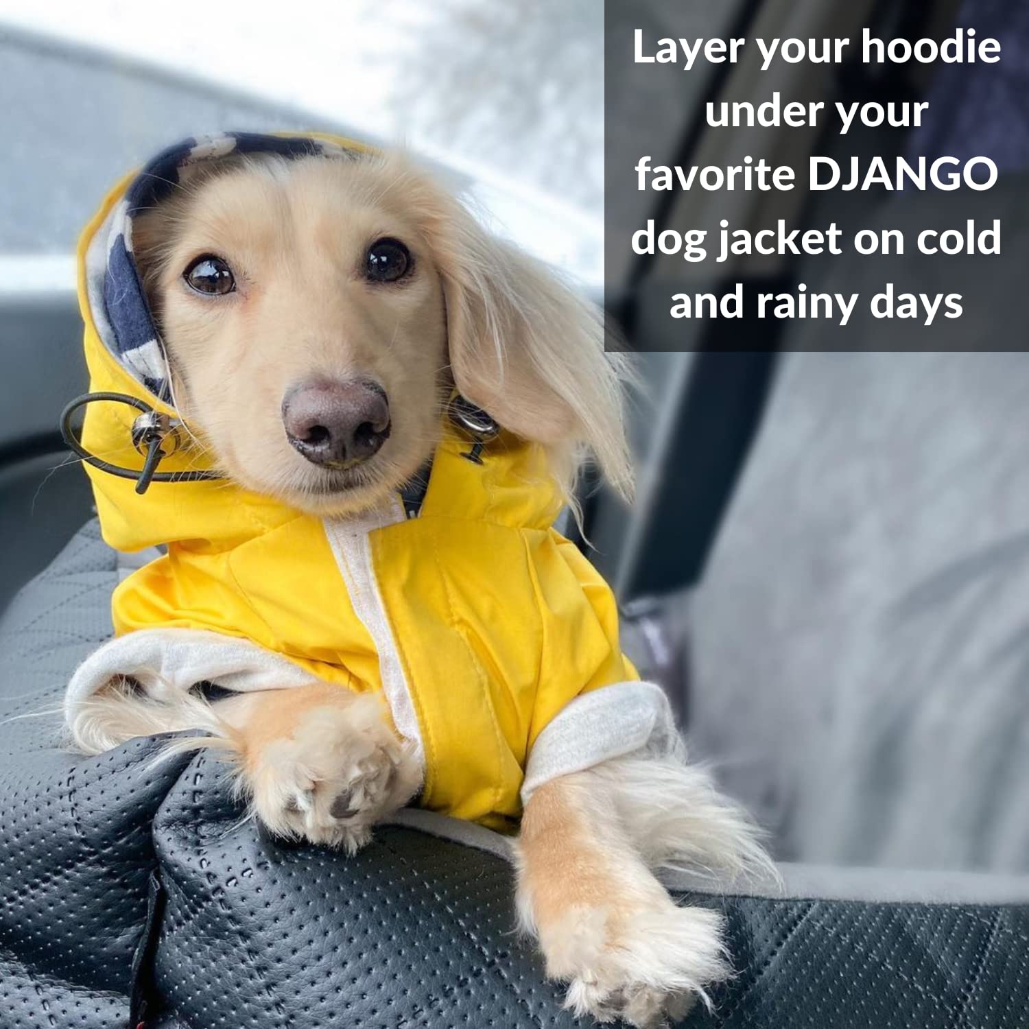DJANGO Dog Hoodie - Soft, Stretchy & Cozy Winter Sweater for Small Dogs - Dachshund Hooded Sweatshirt with Elastic Waistband & Harness Hole - Machine Washable Red Dog Clothes for Cold Weather - Perfect for Outdoor Walks, Pet Photos & Indoor Lounging
