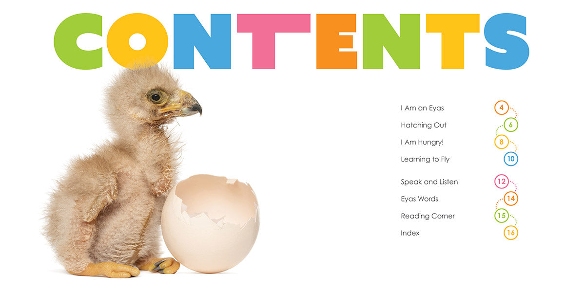 Baby Hawks Starting Out - Essential Beginner Gear for Young Birdwatchers | Perfect for Outdoor Adventures & Nature Exploration