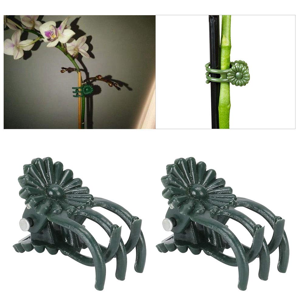 200Pcs Green Flower Shaped Plant Clips - Orchid Support Clips for Stems & Vines, Garden Plant Fixing Clips for Orchids, Roses, Tomatoes | Perfect for Indoor/Outdoor Gardening, Greenhouse & Vertical Planting