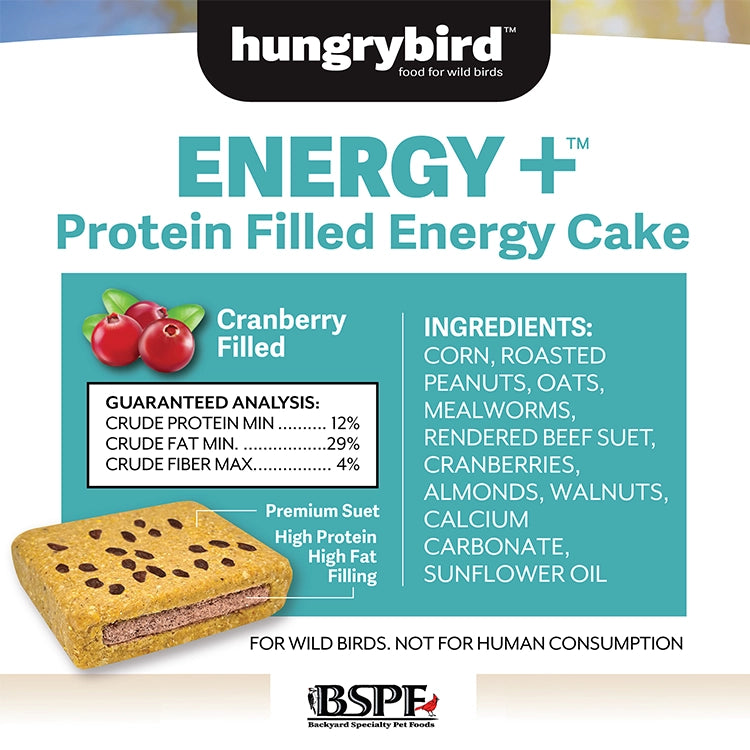 Premium Energy+ Suet Cakes with Cranberry Filling - High Protein Wild Bird Food, 12 Pack - Perfect for Backyard Bird Feeding & Attracting Woodpeckers, Nuthatches in Winter
