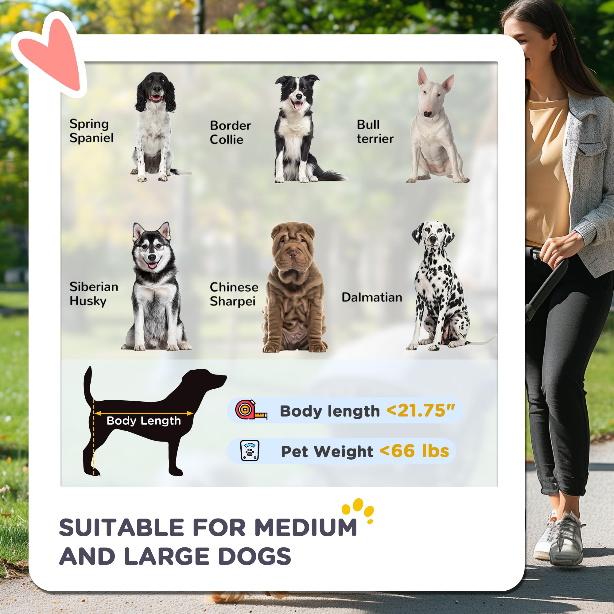 PawHut 4-Wheel Folding Dog Stroller for Medium & Large Dogs - Universal Wheels, Storage Basket & Safety Leash - Gray Pet Carrier for Walking, Shopping & Outdoor Adventures