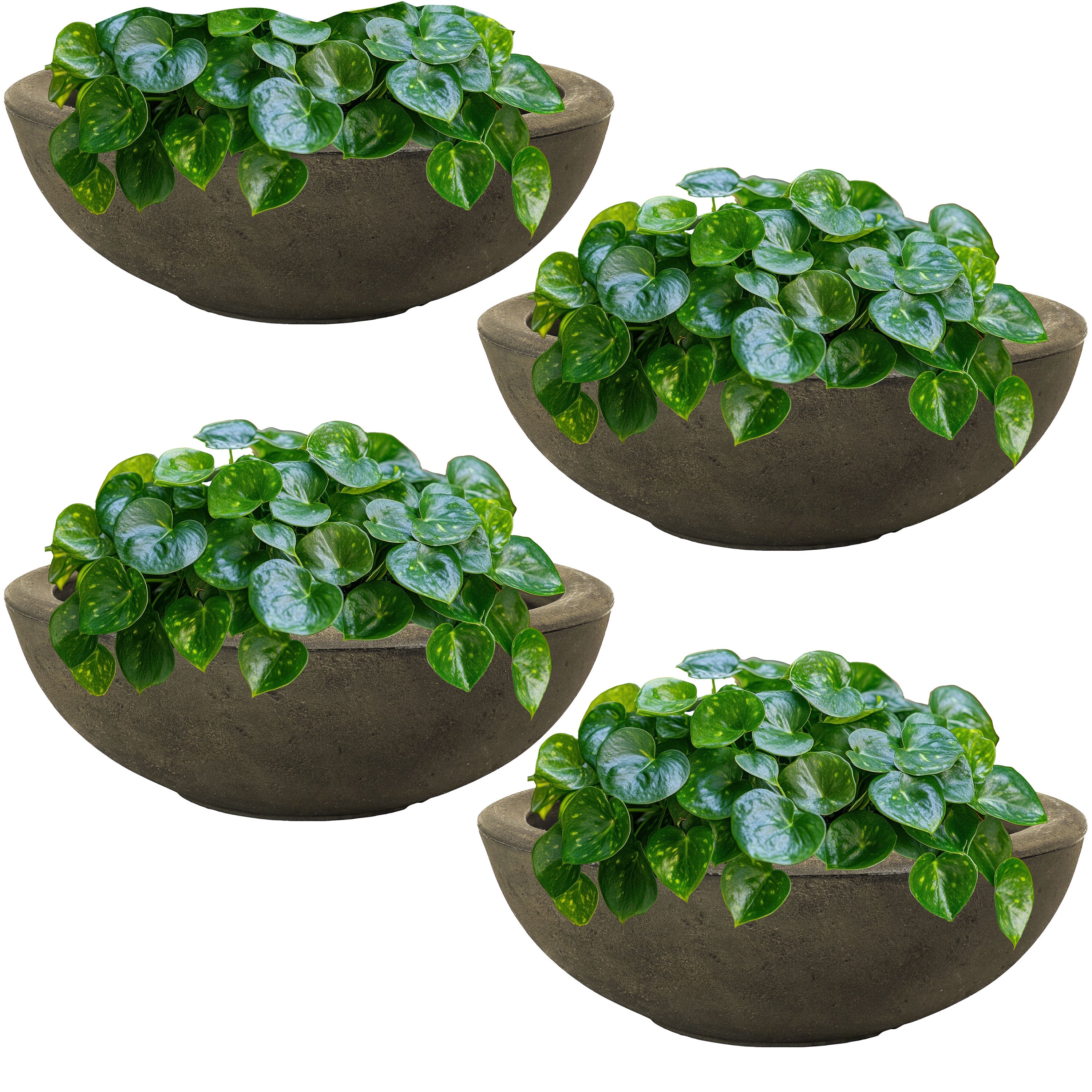 20.75 Inch Sunnydaze Percival Polyresin Outdoor Planter Bowl - Durable Garden Decor for Patio, Porch & Backyard Landscaping