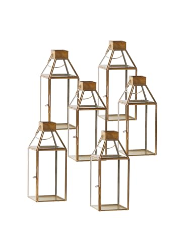 Medium, Set of 6