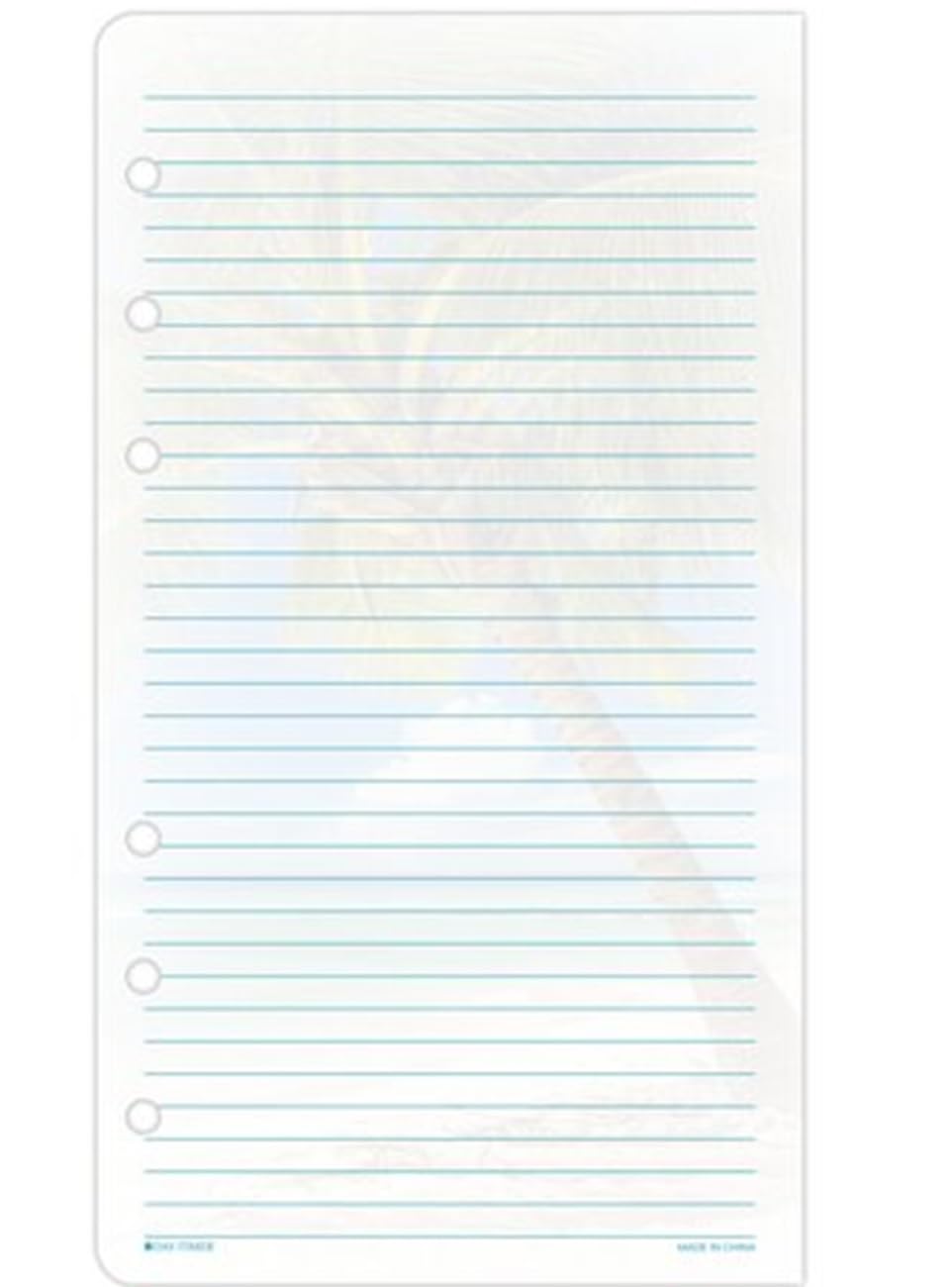 Day-Timer Coastlines Note Pads - Portable 3.75 x 6.75 Inch Memo Pads, 2 Pads with 24 Sheets Each (D1398801A) - Perfect for Office, School & Travel Organization