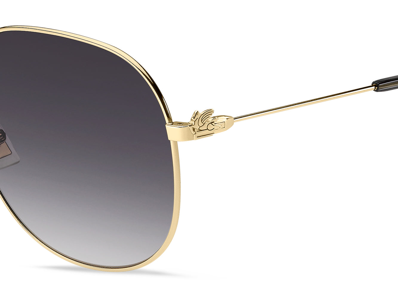 Etro 0060 F S Sunglasses - Luxury Designer Shades for Women & Men - UV Protection & Fashion Eyewear - Perfect for Outdoor Activities, Travel & Summer Style