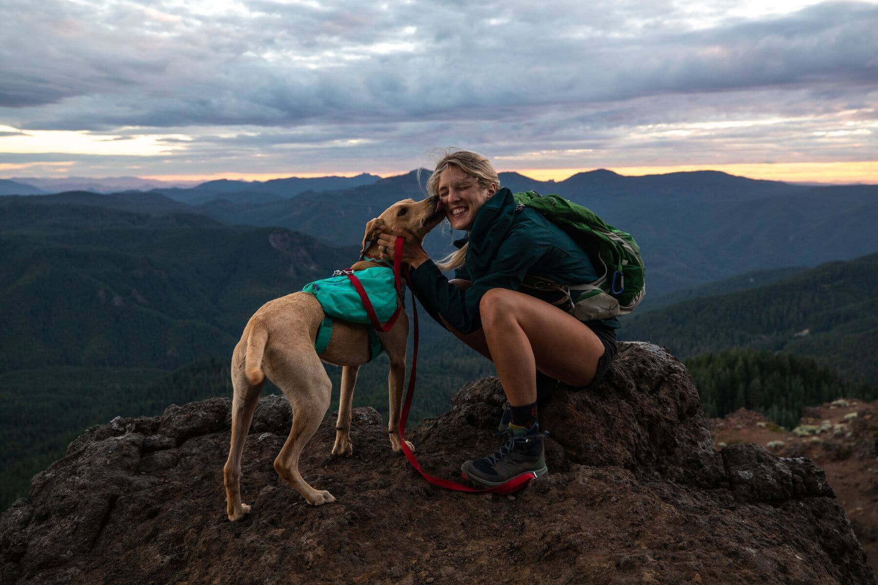 Ruffwear Collar Flat Out - Nature-Inspired Colorado River Design - Durable Dog Collar for Hiking, Camping & Outdoor Adventures