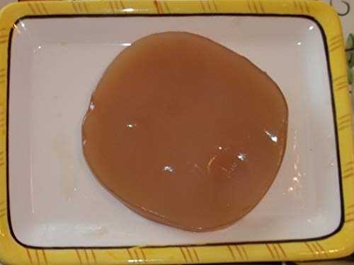 Poseymom Kombucha Tea Culture Kit - Large SCOBY with Strong Starter Tea for 1 Gallon Brewing | Perfect for Home Fermentation & Healthy Probiotic Drinks